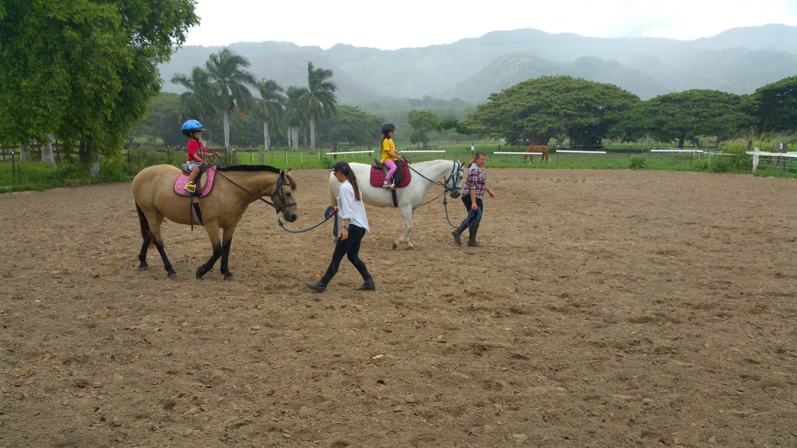 children-riding-horse